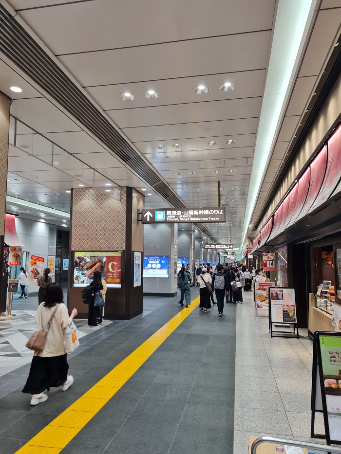 The JR Pass does not cover Tokyo Subway - here are some tips we can get around that!